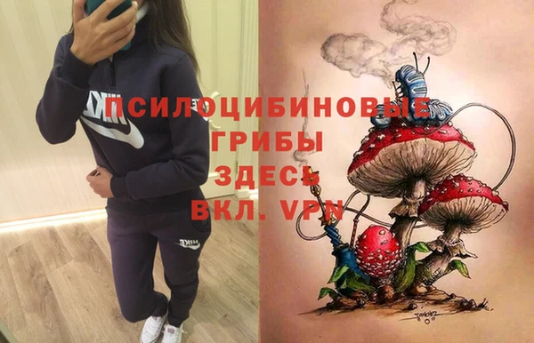 mdpv Кукмор