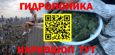 стафф Краснознаменск