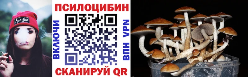 kraken ссылки Янаул Псилоцибиновые грибы GOLDEN TEACHER