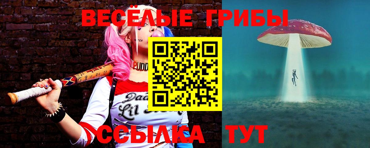 Галлюциногенные грибы Cubensis  Псилоцибиновые грибы Magic Shrooms  Вход с VPN  Янаул 